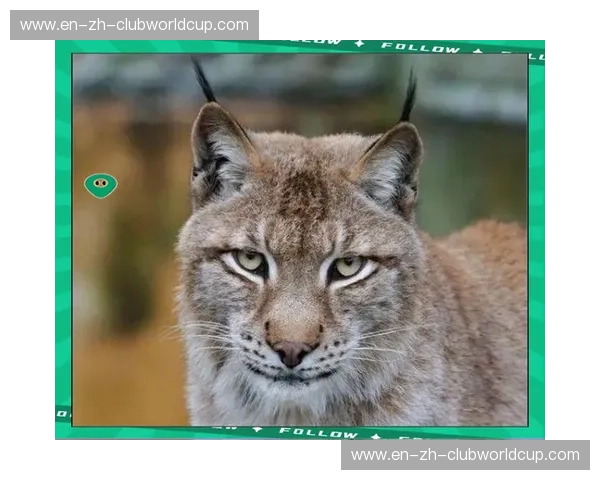 山猫vs风暴：自然之力的极致较量，谁能笑到最后？